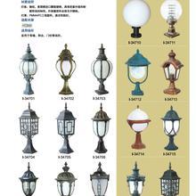 特色泰軟件開發(fā) 融合創(chuàng)新與文化的技術之道